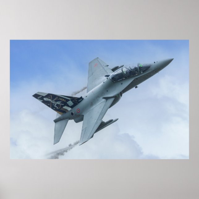 CSX7352 F-2000A 36 Stormo's Centenary Tribute Poster (Vorne)