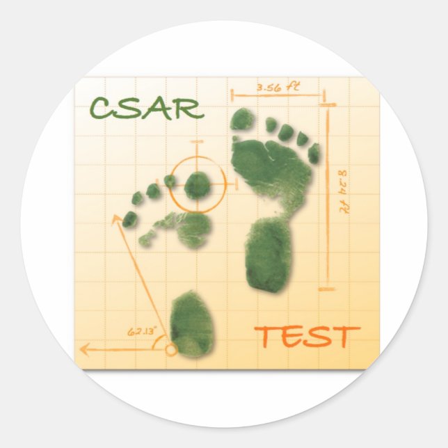 CTF FTE RUNDER AUFKLEBER (Vorderseite)