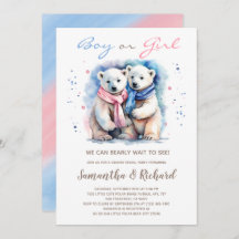 Cub Bear Polar Bär Thema Winter Gender Reveal