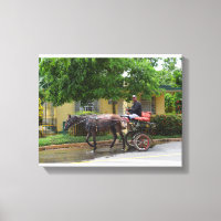 Cuba Horse Gezeichnet Cart