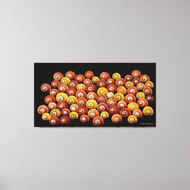 Cuban Tree Snails Leinwanddruck (Vorderseite)