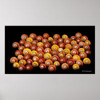 Cuban Tree Snails