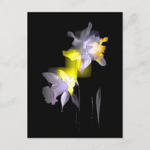 Cubist Daffodils Postkarte