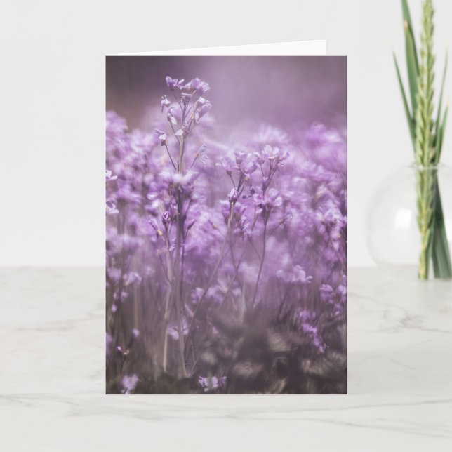 Cuckoo Blume Nature Foto Karte (Vorderseite)