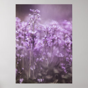 Cuckoo Blume Nature Foto Poster