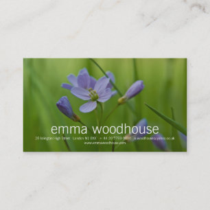 Cuckoo-Blume Visitenkarte