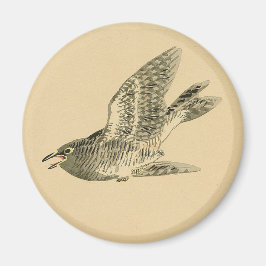 Cuckoo (japanische Kunst) (von Kono Bairei) Magnet