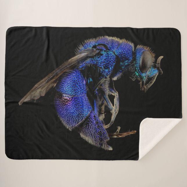 CUCKOO SHERPADECKE (Vorderseite (Horizontal))