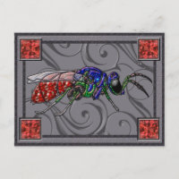 Cuckoo Wasp Collector Card