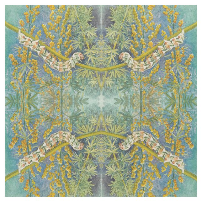 Cucullia Absinthii Wormwood Raupe Stoff (Muster)