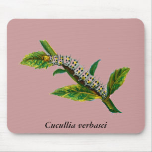 Cucullia verbasci Raupe Mousepad