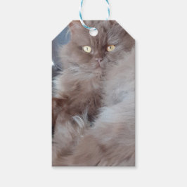 Cudded Cat Gift Tag Geschenkanhänger