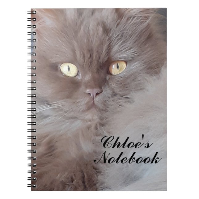 Cudded Cat Spiral Notebook Notizblock (Vorderseite)