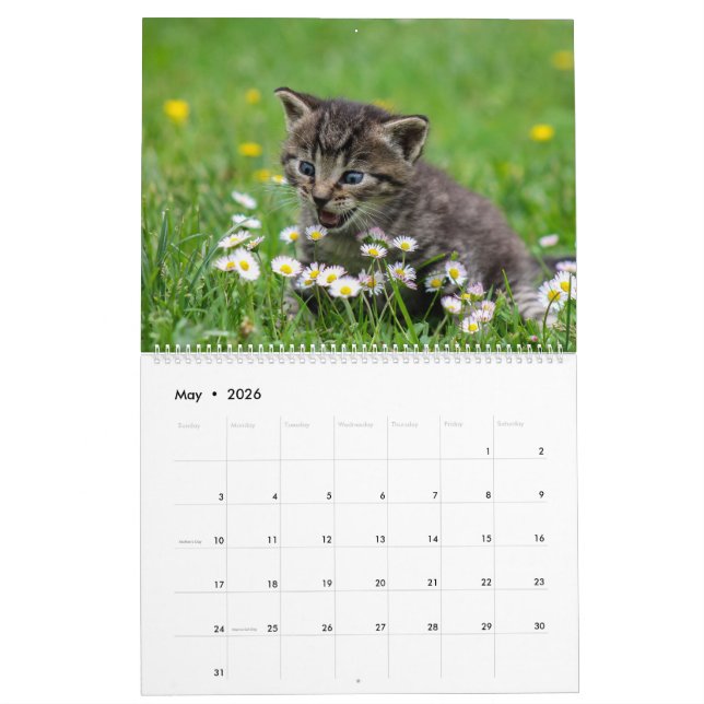 Cudded Niedlich Kitten Pet Kitty Cats Feline 2020 Kalender (Mai 2026)