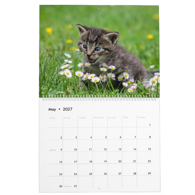 Cudded Niedlich Kitten Pet Kitty Cats Feline 2020 Kalender (Mai 2027)