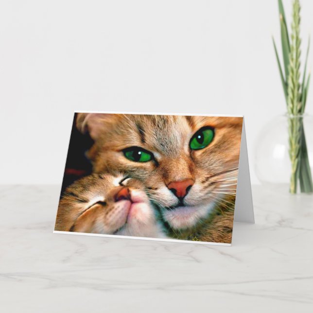 Cuddles. Karte (Vorderseite)