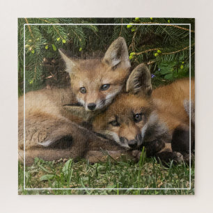 Cuddling Fox Kits Puzzle