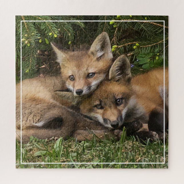 Cuddling Fox Kits Puzzle (Vertikal)