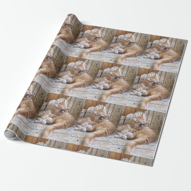 Cuddling Kittens Geschenkpapier (Ungerollt)
