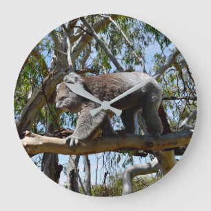 Cudly Big Male Australian Koala, Große Wanduhr