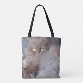 Cudly Cat
