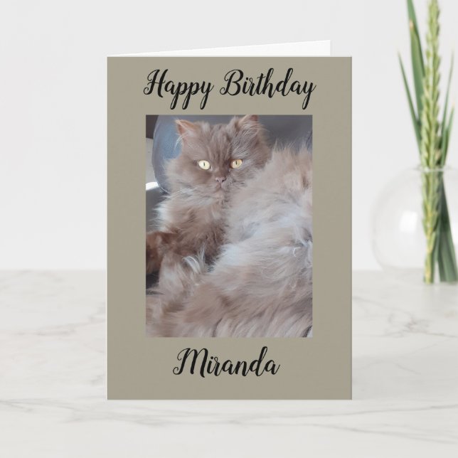 Cudly Cat Birthday Card Karte (Vorderseite)