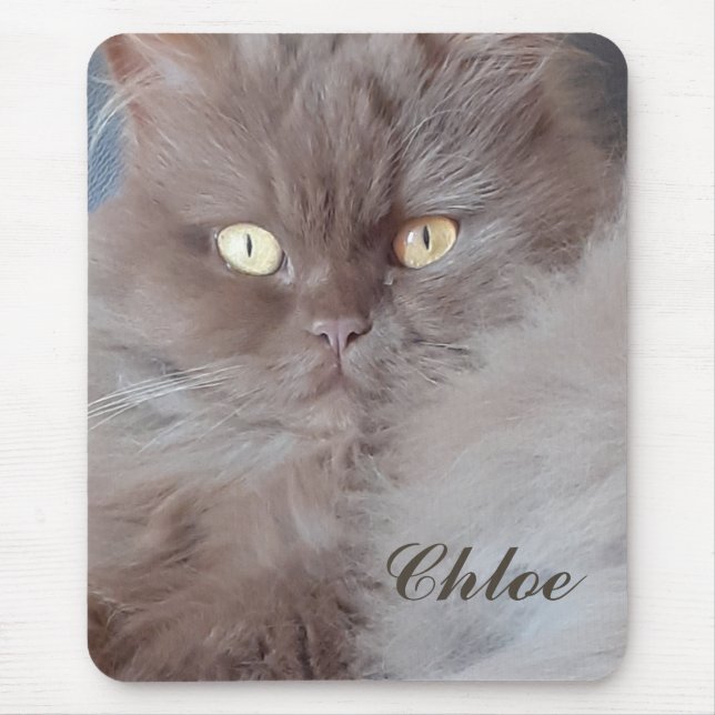 Cudly Cat Mousepad (Vorne)