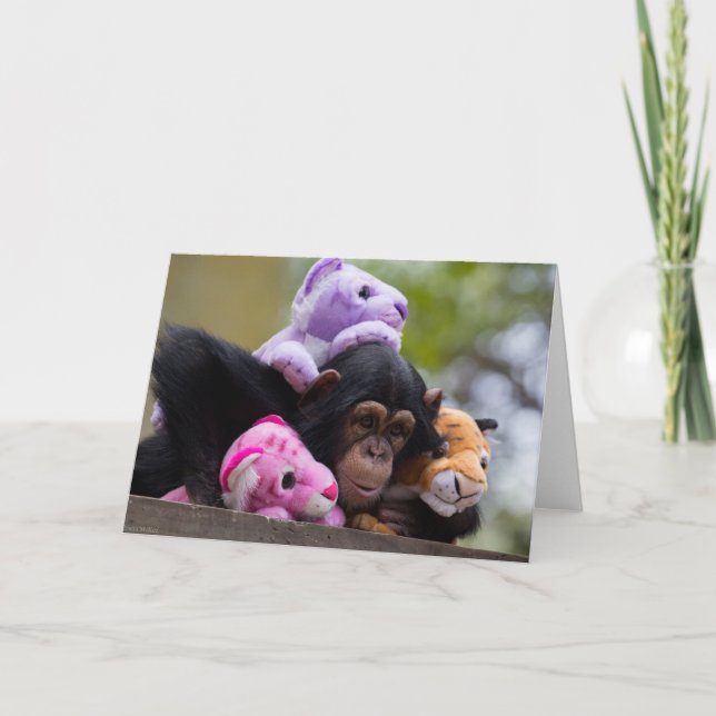 Cudly Chimp & Animal Friends Karte (Vorderseite)
