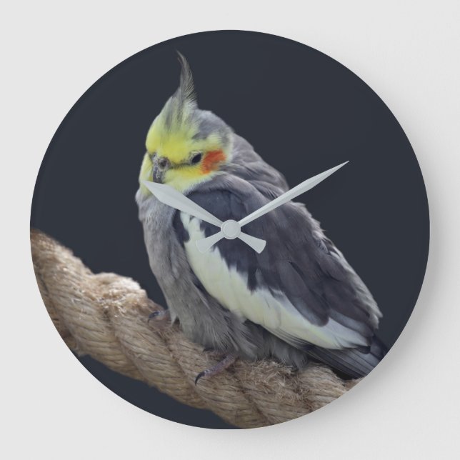 Cudly Cockatiel Wall Clock Große Wanduhr (Vorderseite)