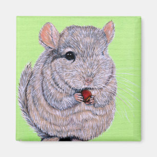 Cudly Nibbling Chinchilla Malerei Magnet