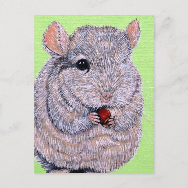 Cudly Nibbling Chinchilla Malerei Postkarte (Vorderseite)