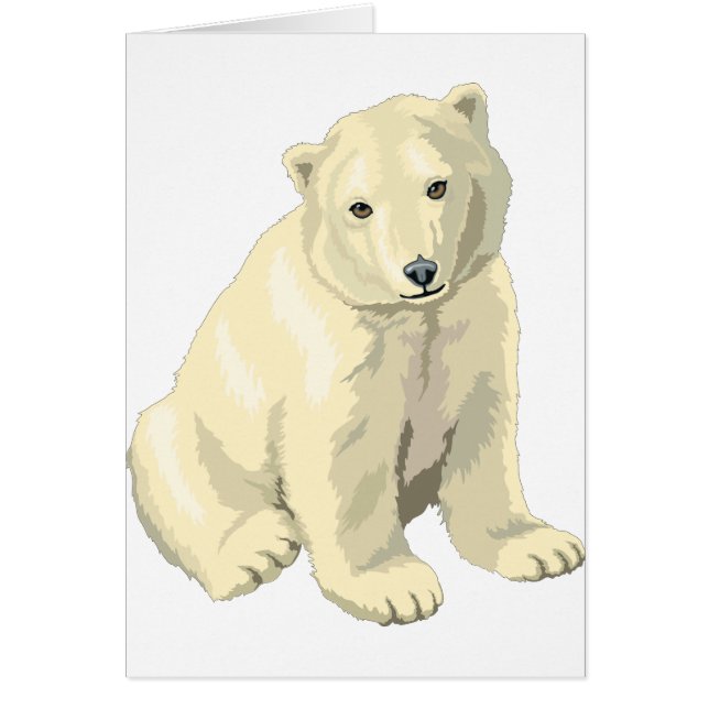 Cudly Polar Bär (Vorne)