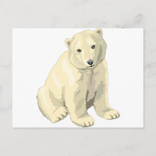 Cudly Polar Bär Postkarte