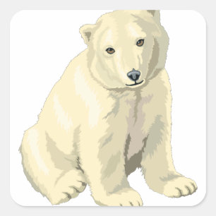 Cudly Polar Bär Quadratischer Aufkleber