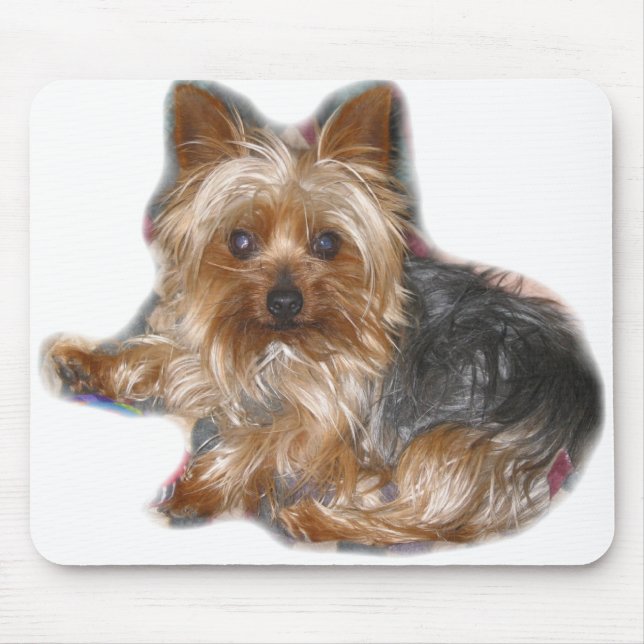 Cujo Mousepad (Vorne)