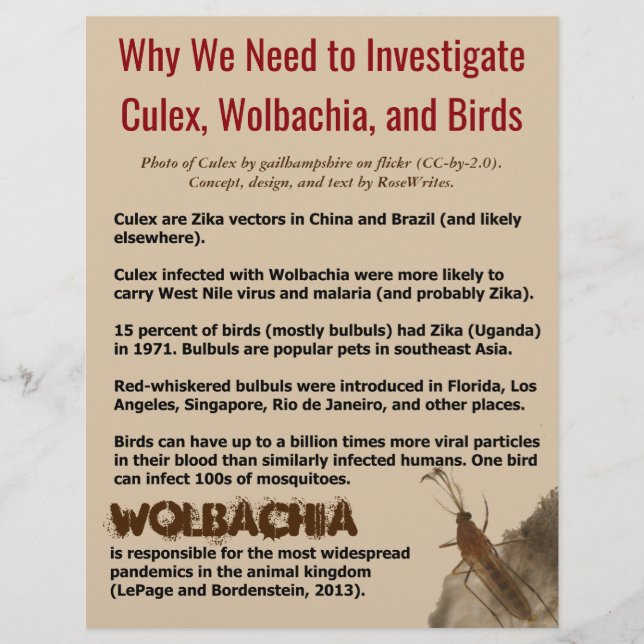 Culex, Wolbachia und Vögel von RoseWrites Flyer (Vorne)