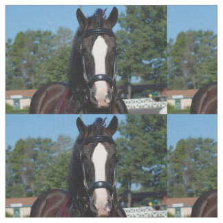 culpeper VA Entwurfspferdeshow Stoff