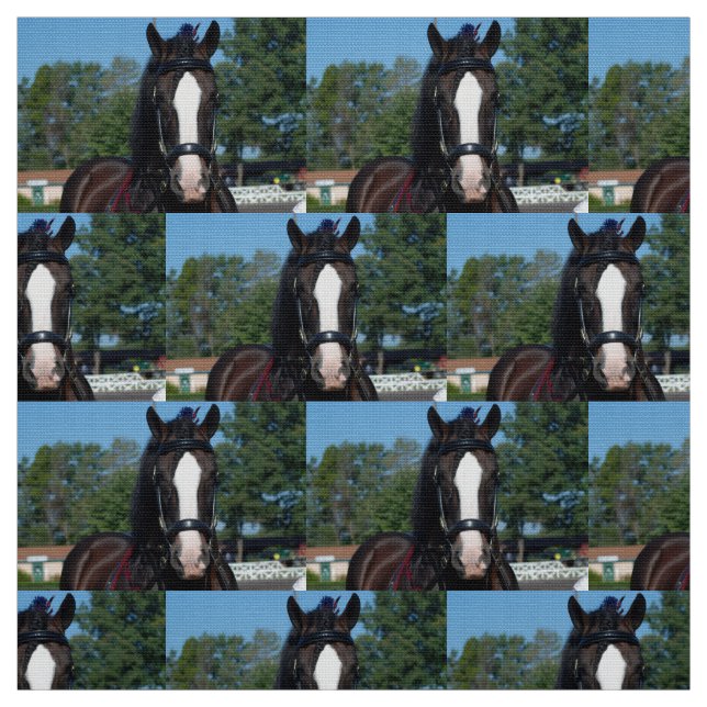 culpeper VA Entwurfspferdeshow Stoff (Muster)