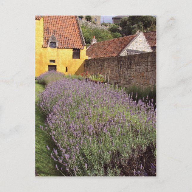 Culross Palace - Der Garten vor der Tür Postkarte (Vorderseite)