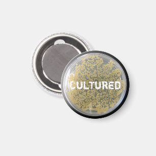 "Cultured Bacteria Culture Plate Magnet