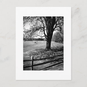 Culver Academies, Schwarz und Weiß Postkarte