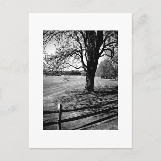 Culver Academies, Schwarz und Weiß Postkarte (Vorderseite)