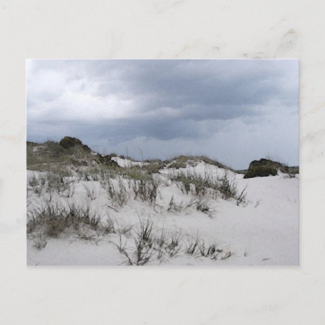 Cumberland Island Dünen Postkarte (Vorderseite)