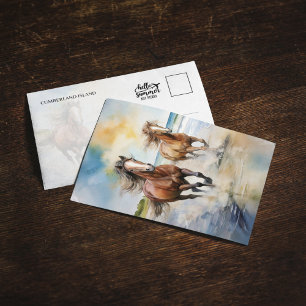 Cumberland Island Nationalpark Pisten Postkarte