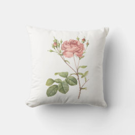 Cumberland-Rose durch Redouté Kissen