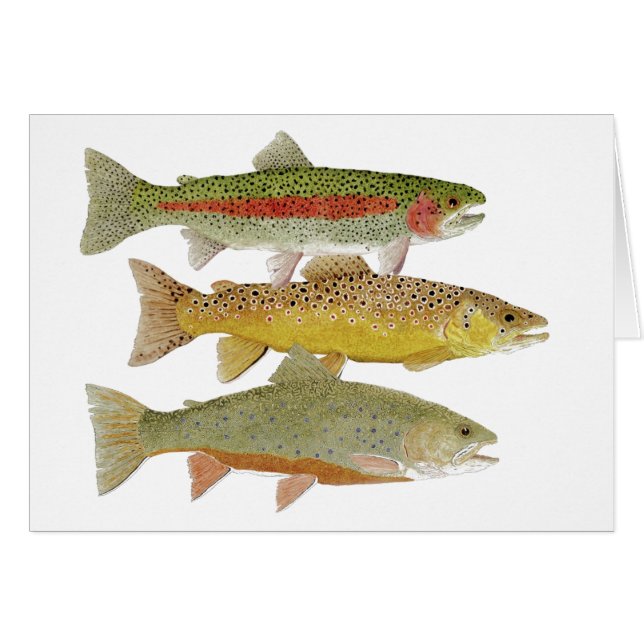 Cumberland-Tal-Forelle-unbegrenzte Karte (Vorderseite (Horizontal))