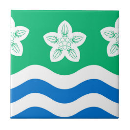 Cumberland (UK-Landkreis) Fliese