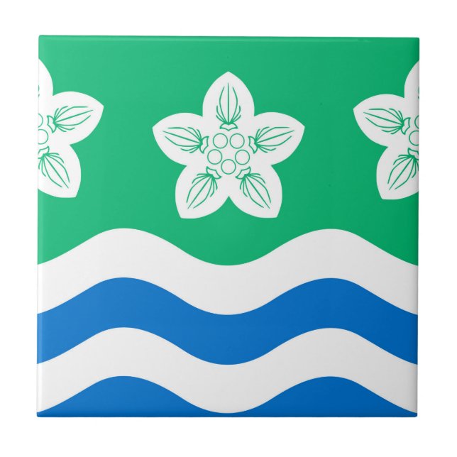 Cumberland (UK-Landkreis) Fliese (Vorderseite)