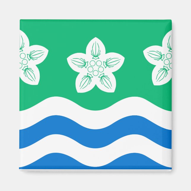 Cumberland (UK-Landkreis) Magnet (Vorne)