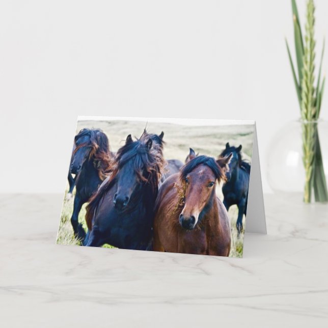 Cumbrian Fell Ponys Karte (Vorderseite)